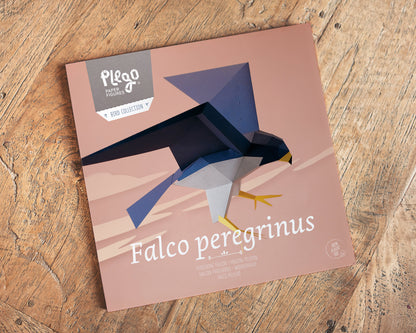Peregrine Falcon - Falco Peregrinus - Paper Figure 3D