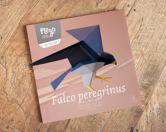 Peregrine Falcon - Falco Peregrinus - Paper Figure 3D