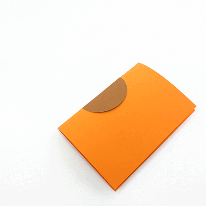 Sunflower - Helianthus annus - Pop-Up Figure