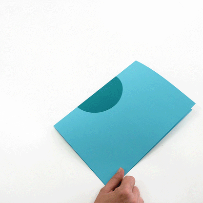 White Waterlily - Nymphaea alba - Pop-Up Figure