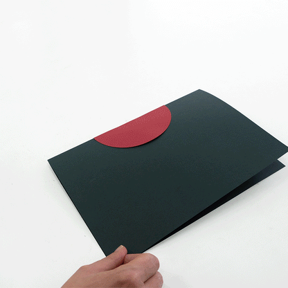 Rose - Rosa centifolia - Pop-Up Figure