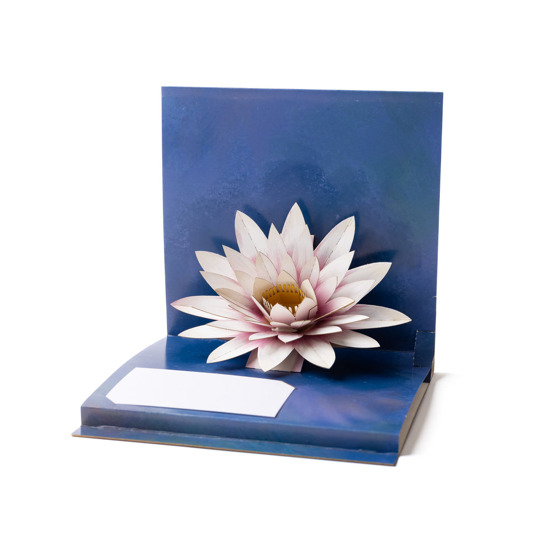 Water Lily - Card