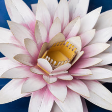 Water Lily - Card